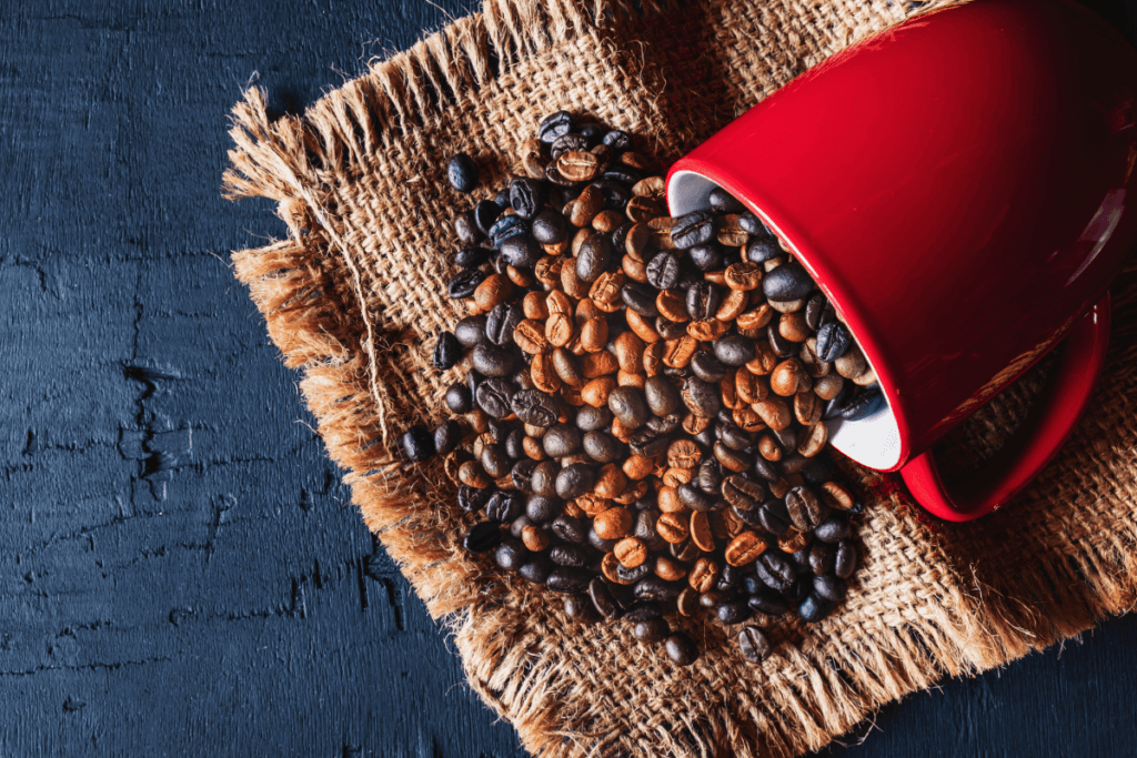 O Que É Café Arábica