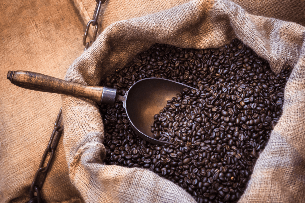 O Que É Café Arábica