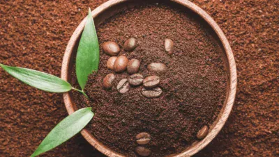 Café em Alto Caparaó